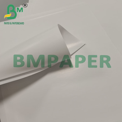 80g Biodegradable Leak Proof Cone Cup Packaging Paper Dessert Snack