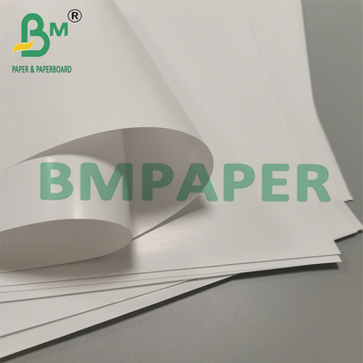 80g Biodegradable Leak Proof Cone Cup Packaging Paper Dessert Snack