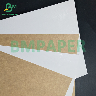200gsm 360gsm Food Grade Clay Coated Kraft Paper For Yoghurt packaging