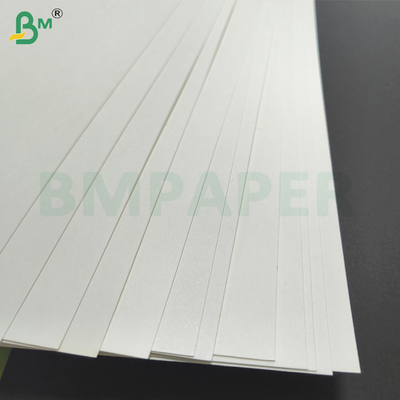 PE Coated Cupstock Paper 1 PE 2 PE Coated Cup Making Paper