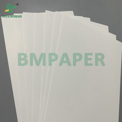 275/325g + 15g PE Poly - coated Paperboard Withstanding Cold Freezer Temperatures