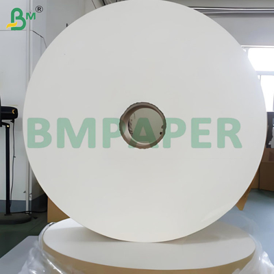 50 GSM Odorless High Filtration Efficiency Coffee Filter Paper Rolls