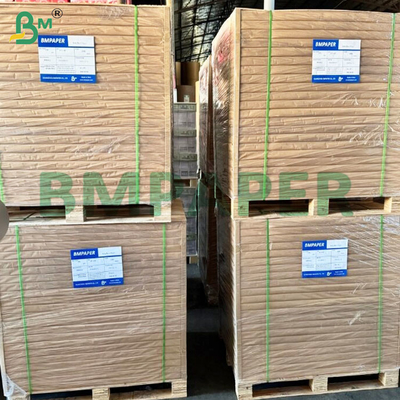 50 GSM Odorless High Filtration Efficiency Coffee Filter Paper Rolls