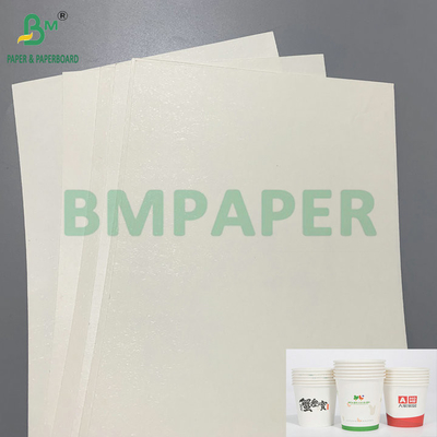 185gsm 210gsm White Kraft PE Coated Cup Paper For Making Paper Drink Cups
