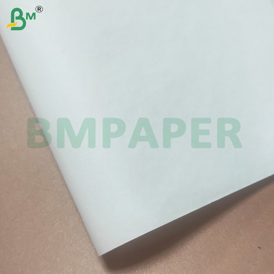 Recyclable White Food Grade Straw Packaging Paper Roll in 24/28 GSM