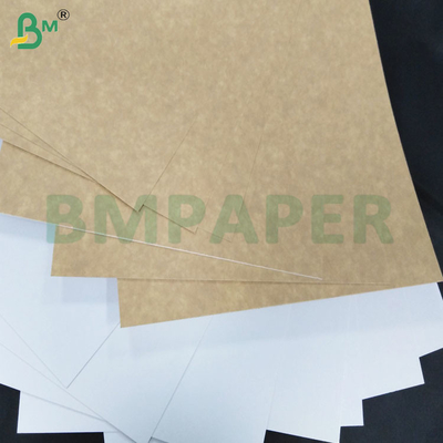 200-360 GSM Freeze Resistant One Side Coated Kraft Paper Sheet