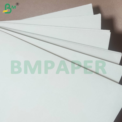 High Absorption Properties Absorbent Paper Sheets for Beer Mats
