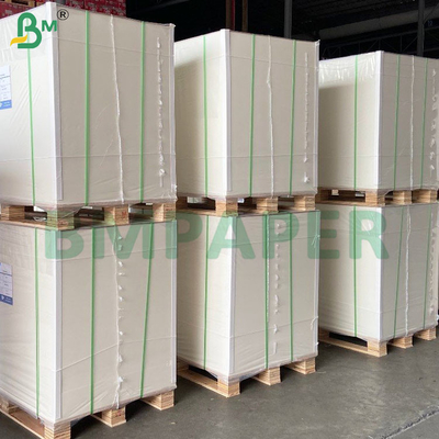 High Absorption Properties Absorbent Paper Sheets for Beer Mats