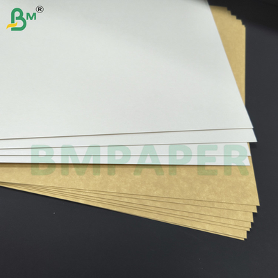 Strong Kraft Back Board 325gsm CKB Carrier Board For Food Boxes