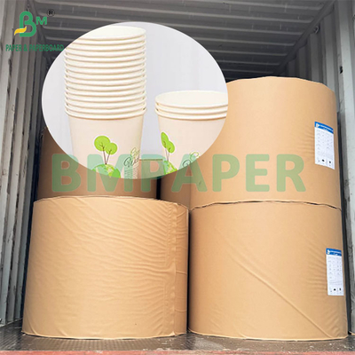 190gsm 320gsm+15gPE Coated Food Grade Disposable Hot Coffee Cup Paper