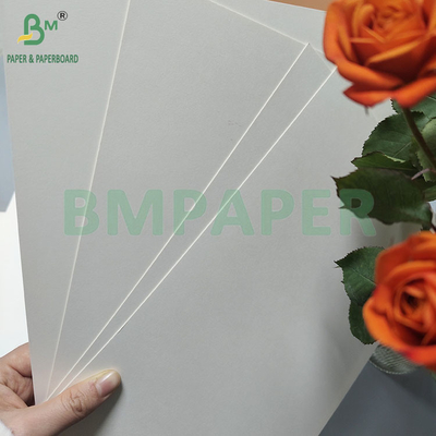 190gsm 320gsm+15gPE Coated Food Grade Disposable Hot Coffee Cup Paper