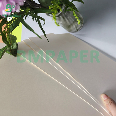 190gsm 320gsm+15gPE Coated Food Grade Disposable Hot Coffee Cup Paper