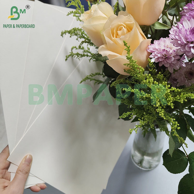 190gsm 320gsm+15gPE Coated Food Grade Disposable Hot Coffee Cup Paper