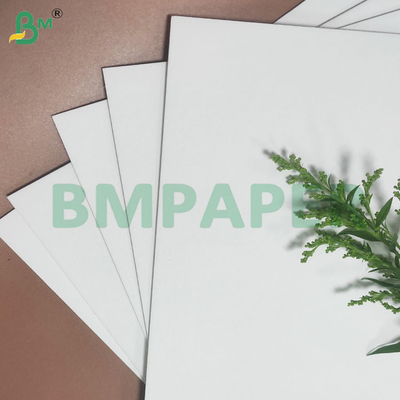 Non Toxic 0.3-3.0 mm Thickness Water-absorbing Paper Sheets