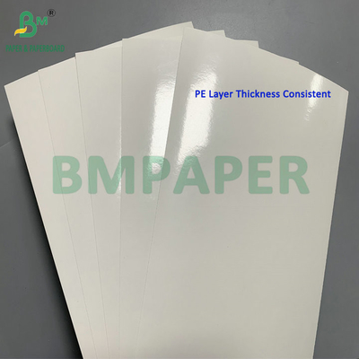 260gsm + 15gsm PE Coated SBS Cardboard For Frozen Shrimp Food Packaging Box