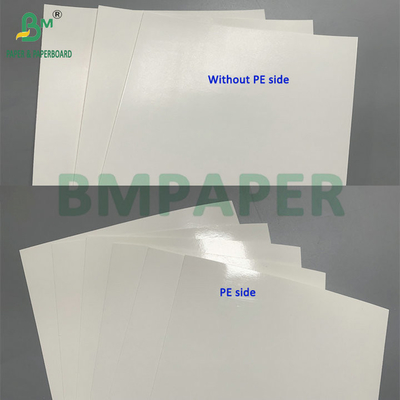 260gsm + 15gsm PE Coated SBS Cardboard For Frozen Shrimp Food Packaging Box