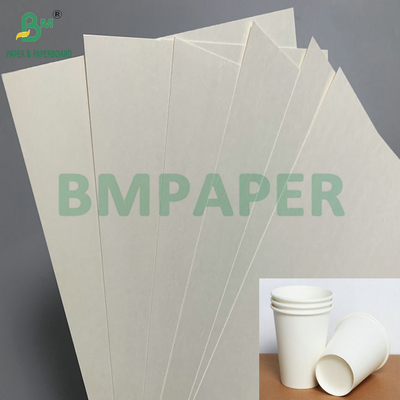C1S PE Surface 210gsm 230gsm Cup Paper For Drinks Cup Jumbo Roll