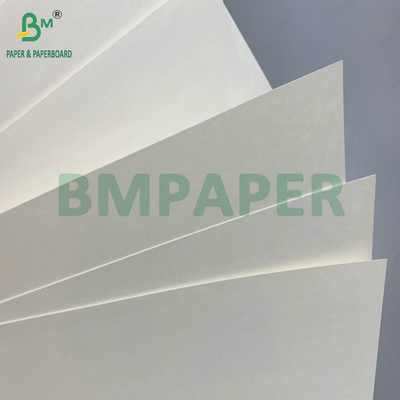 C1S PE Surface 210gsm 230gsm Cup Paper For Drinks Cup Jumbo Roll
