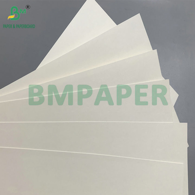 C1S PE Surface 210gsm 230gsm Cup Paper For Drinks Cup Jumbo Roll