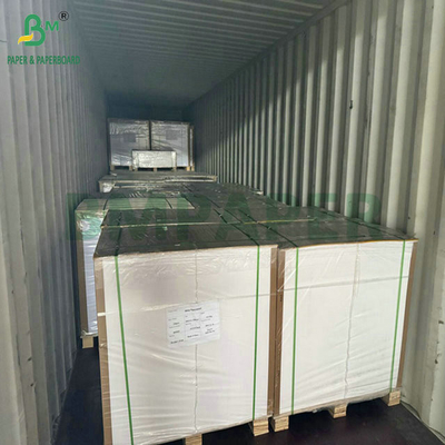 Food Grade 250Gram 737mm Waterproof Cupstock 1 PE Paper for Cups