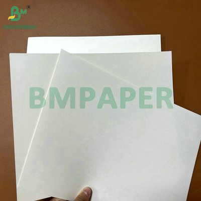 Food Grade 250Gram 737mm Waterproof Cupstock 1 PE Paper for Cups