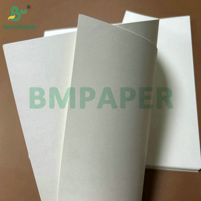 Food Grade 250Gram 737mm Waterproof Cupstock 1 PE Paper for Cups