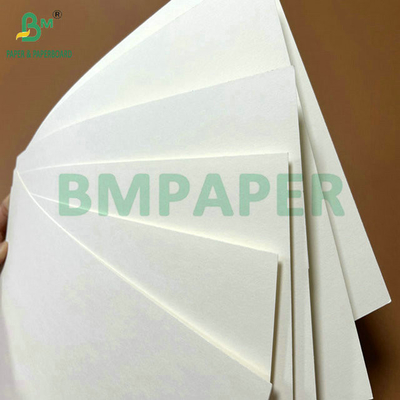 Food Grade 250Gram 737mm Waterproof Cupstock 1 PE Paper for Cups