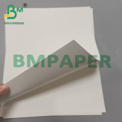 210g 70x100cm C1S Coated Ivory White Cardboard For Cosmetic Box