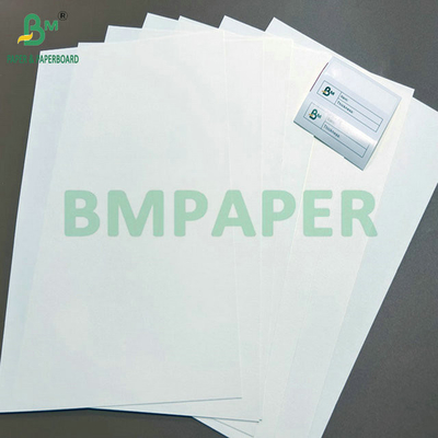 6inch Core 900mm 960mm Width Foodgrade CupStock Paper For Drinking Cups