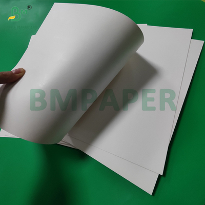 300gsm +15g PE Coated Paper Cup Stock Board For Hot Drinks 820mm 880mm