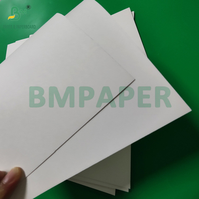 300gsm +15g PE Coated Paper Cup Stock Board For Hot Drinks 820mm 880mm