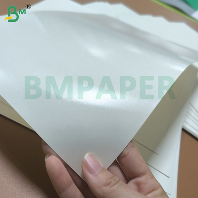 Excellent Water Resistant PE Coated Cupstock Paper Raw Material