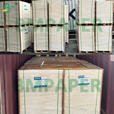 Excellent Water Resistant PE Coated Cupstock Paper Raw Material