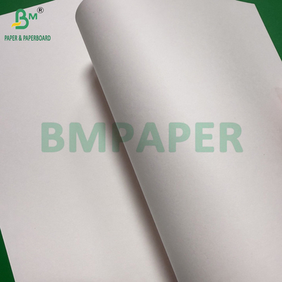 240g + 18g PE Coated Cup Stock Paper Matte Finish One Side Custom Roll Wide 430mm - 2100mm
