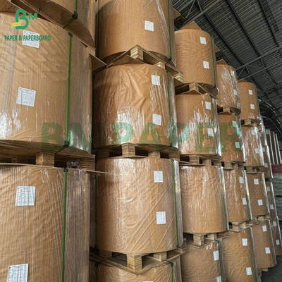 240g + 18g PE Coated Cup Stock Paper Matte Finish One Side Custom Roll Wide 430mm - 2100mm