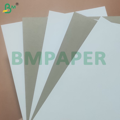 300gsm Recycled Pulp 700*1000mm Coated White Grey Back Paper Sheets