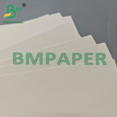 210gsm Printable PLA Coated Kraft Cupstock Paper Roll For Tea