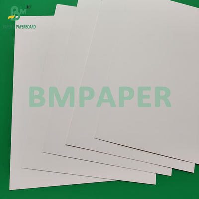 230gsm 260gsm Single Side PE Coated Cup Paper For Making Cup Paper