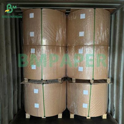 230gsm 260gsm Single Side PE Coated Cup Paper For Making Cup Paper
