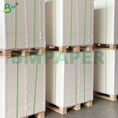 100% Wood Pulp Protective Covering Fruit Bag Paper for guava in White
