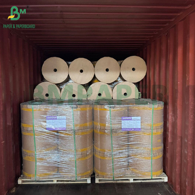 Breathable 56gsm Mango Guava Fruit Bag Protection Paper 370mm Waterproof