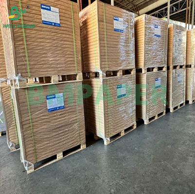 210gsm 215gsm Food Grade  Coated Ivory Paper For Packing French Fries