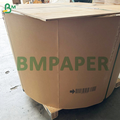 Excellent Stiffness Uncoated Cupstock Base Paper 150 - 250gsm