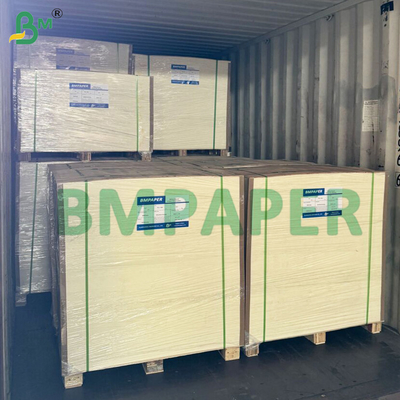 Excellent Stiffness Uncoated Cupstock Base Paper 150 - 250gsm