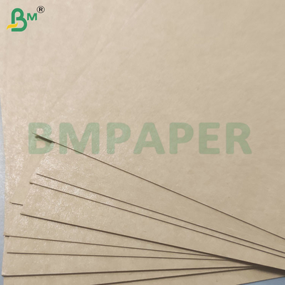 Single Side PE Coating Non Toxic Cup Stock Paper Rolls for Drinks