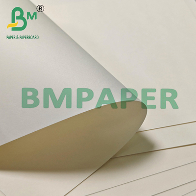 230gsm 15g PE Recyclable Good Stiffness Cup Stock Cardboard For Hot Drink