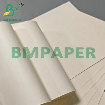 230gsm 15g PE Recyclable Good Stiffness Cup Stock Cardboard For Hot Drink