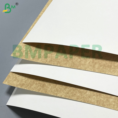 250g 270g Freeze-proofing Moistureproof White Top Coated Kraft Board For Frozen Food Packaging