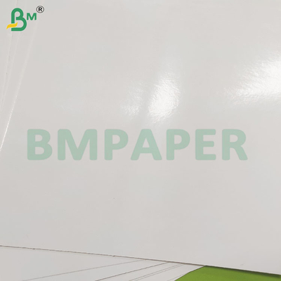 Frozen Food Coated One Side Packing Paper Rolls for Sea Food
