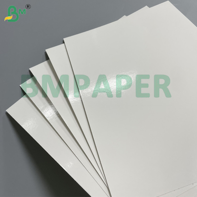 200gsm＋15gsm PE Coated Food Board Waterproof & Greaseproof for Burger Boxes Paper Cups Food Packaging